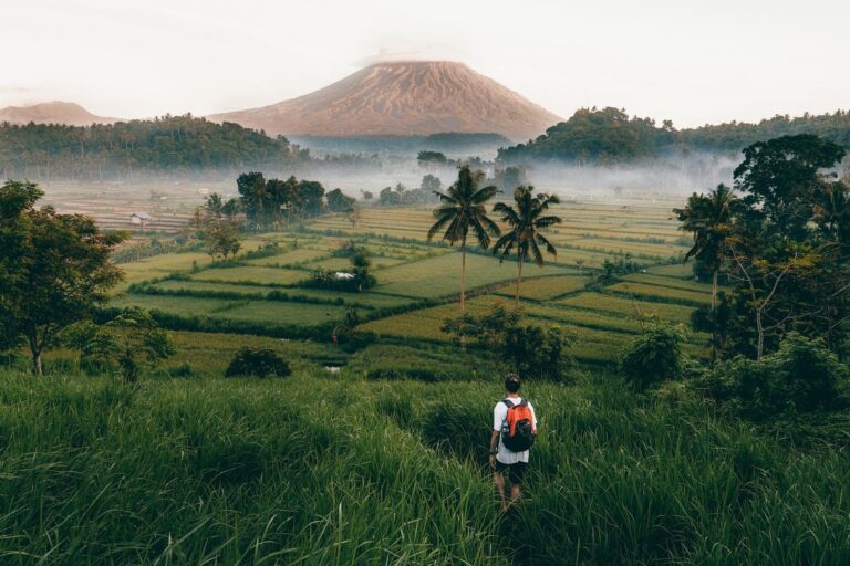 BALI-TIPS-REISJUNK.jpg