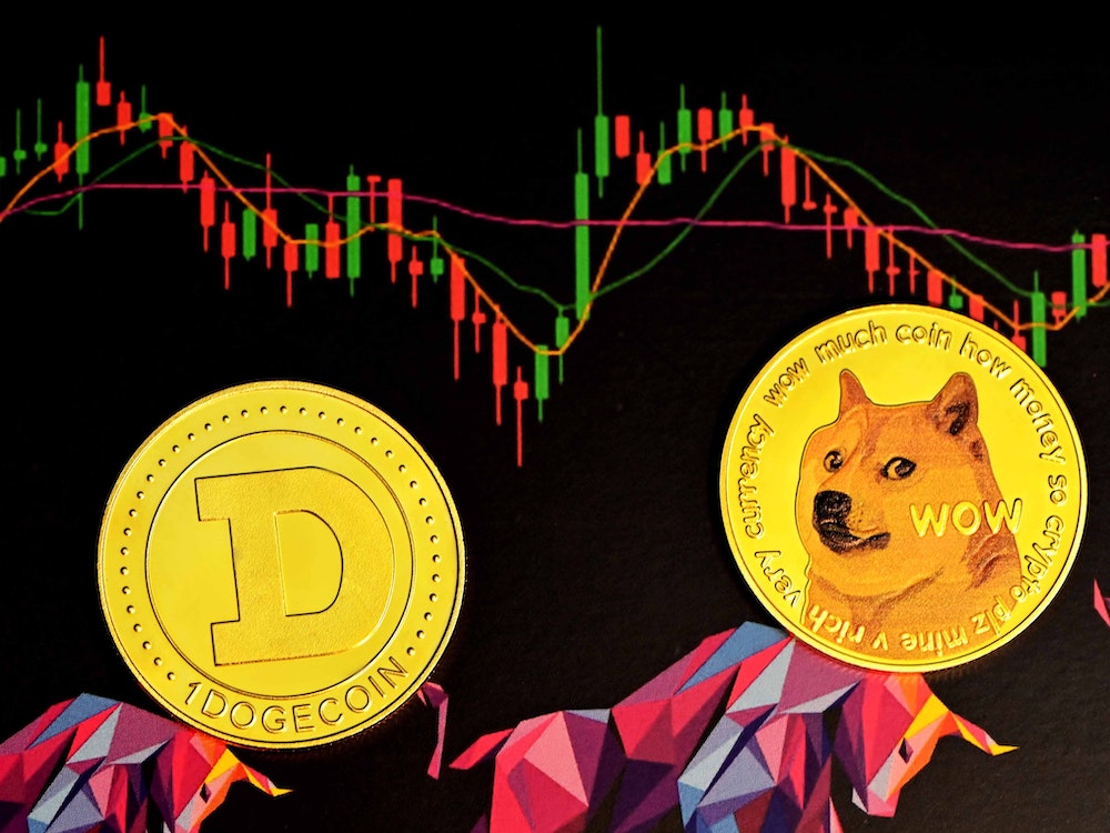 Dogecoin-and-Shiba-Inu-1.jpeg
