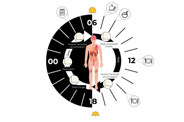 How_To_Set_Nutrient_Timing_And_Its_Benefits.jpg