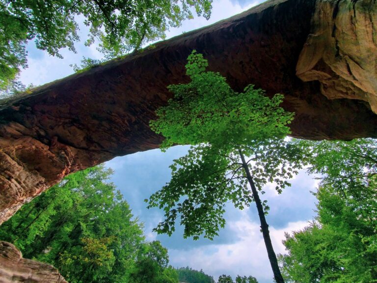 RedRiverGorge28329.jpg