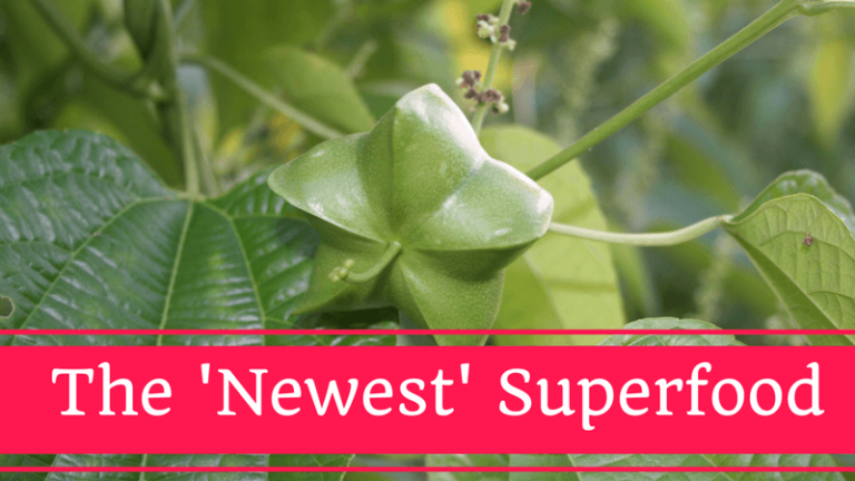 Sacha-inchi-oil-benefits-fruit-on-tree-cover-image-with-title.png