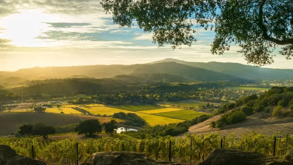 Sonoma-Valley-Autumn-Crop-Horizontal-iStock.webp.webp