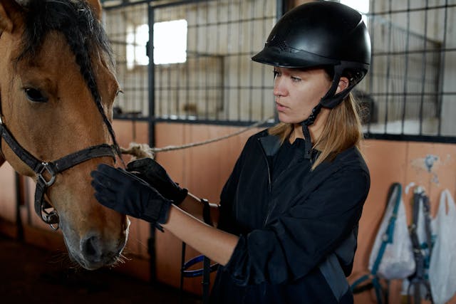 The-Importance-Of-Bridles-In-Horse-Riding.jpg