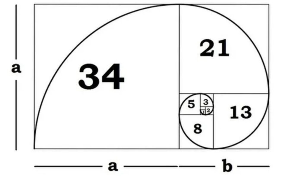 fibonacci.jpg