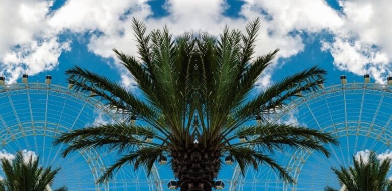 10-Top-Hotels-Near-Epic-Universe-Orlando-11.jpg