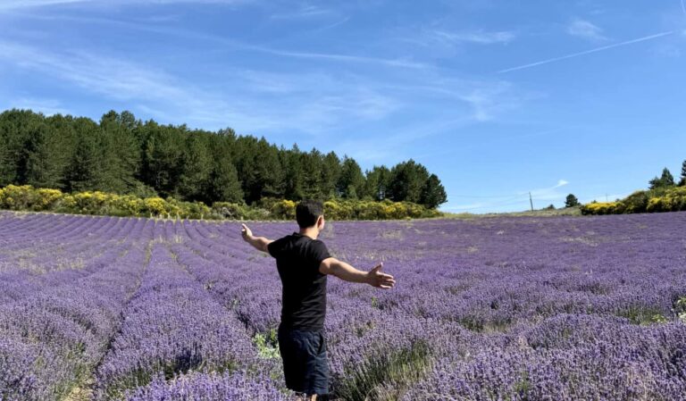 mattflowers.jpeg